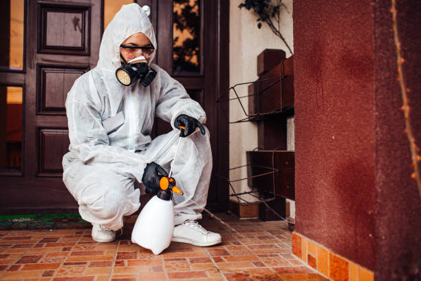 Reliable Bed Bug Control contractor in Tuscaloosa, AL by Nex Pest Control