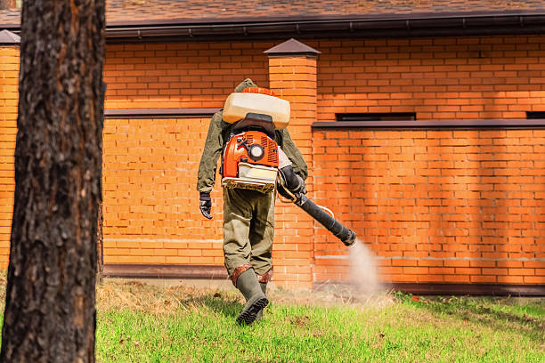Trusted Termite Control service in Tuscaloosa, AL - Nex Pest Control